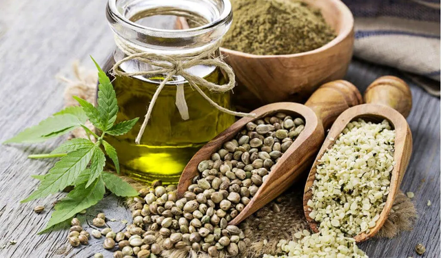 Kenevir Tohumu Yağının Sağlığa Faydaları