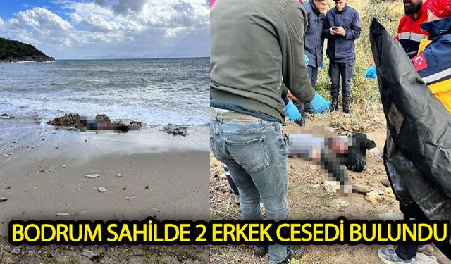 Bodrum'da  sahilde ve denizde ceset bulundu