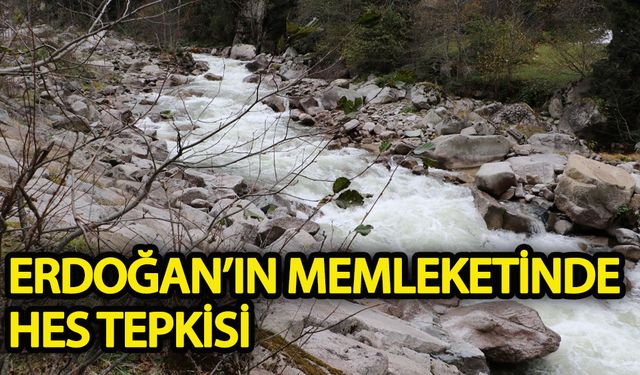 Erdoğan’ın memleketinde HES tepkisi