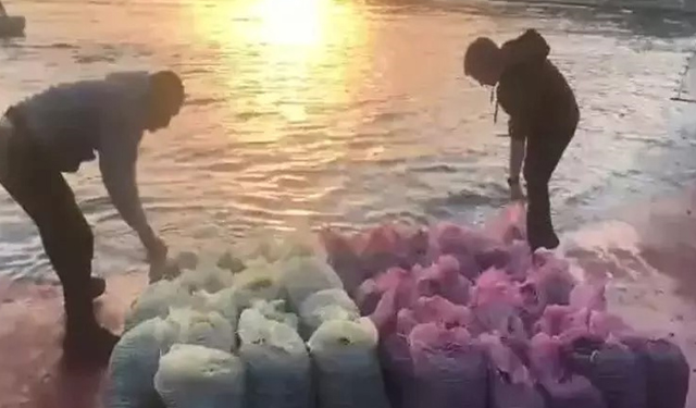 Kadıköy' de kaçak midye avı! 1 ton midye denize bırakıldı