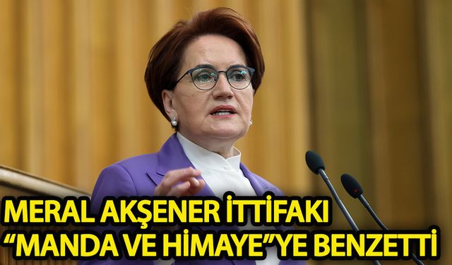 Meral Akşener ittifakı manda ve himayeye benzetti