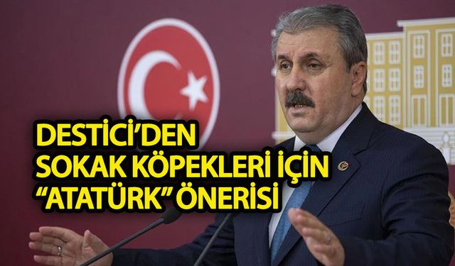 Destici'den sokak köpekleri için Atatürk önerisi