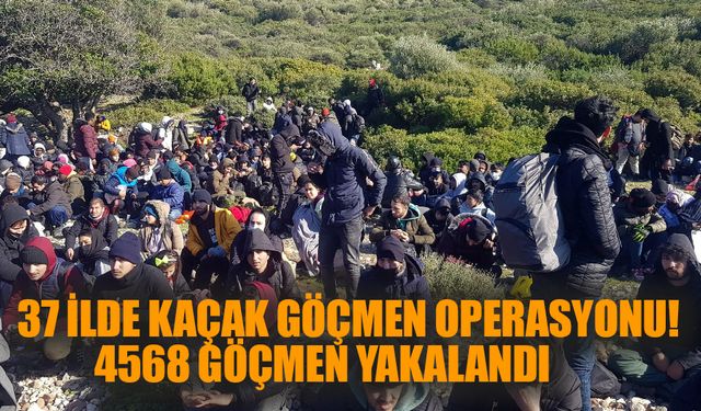 37 İlde kaçak göçmen operasyonu yapıldı