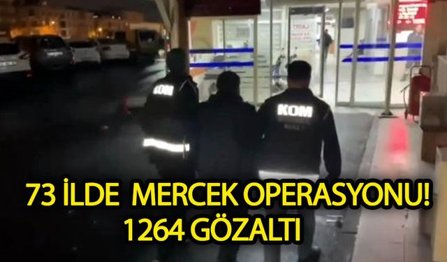 73 ilde operasyon! 1264 gözaltı