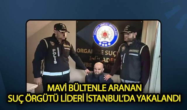 Mavi bültenle aranan suç örgütü lideri  yakalandı