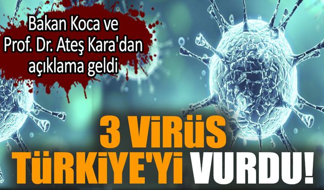 3 virüs Türkiye'yi vurdu! Bakan Koca'dan açıklama geldi