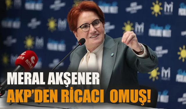 Meral Akşener AKP'den ricacı olmuş!