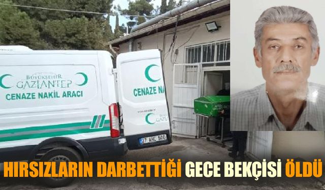 Hırsızların darbettiği gece bekçisi öldü