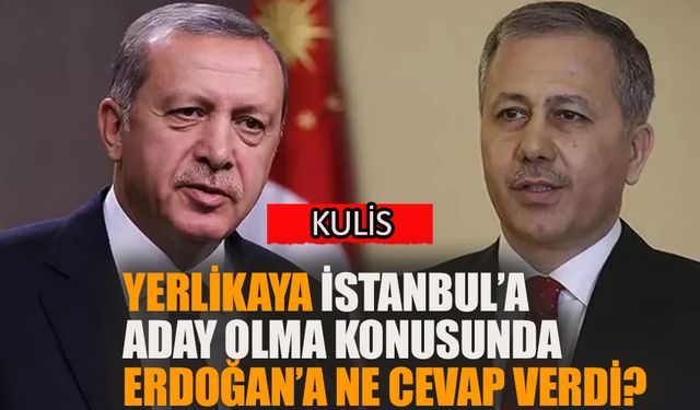 Ali Yerlikaya, İstanbul’a adaylık konusunda Erdoğan’a ne dedi?