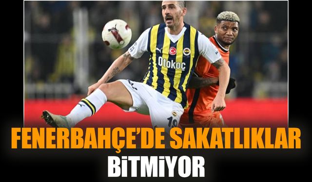 Fenerbahçe'de sakatlıklar bitmiyor