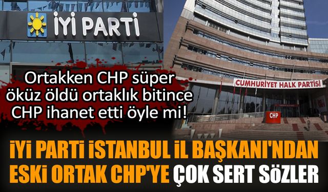 İYİ Parti İstanbul İl Başkanı'ndan eski ortak CHP'ye çok sert sözler