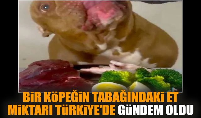 Bir köpeğin tabağındaki et miktarı Türkiye'de gündem oldu