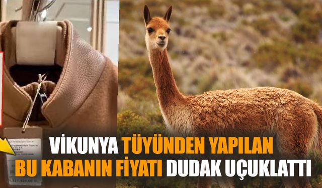 Araba fiyatına kaban gündem oldu