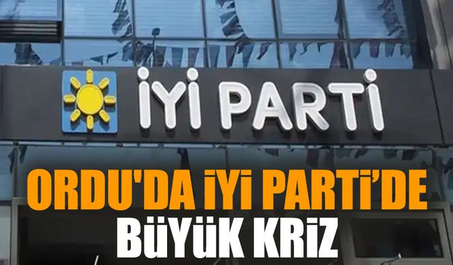 Ordu'da İYİ Parti'de büyük kriz