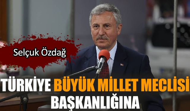 Türkiye Büyük Millet Meclisi Başkanlığına