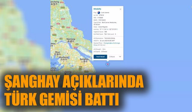 Şanghay açıklarında Türk gemisi battı