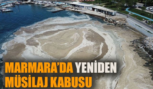 Marmara Denizi'nde yeniden müsilaj kabusu