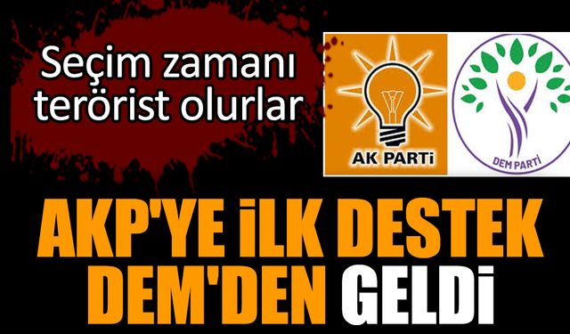AKP'ye ilk destek DEM'den geldi