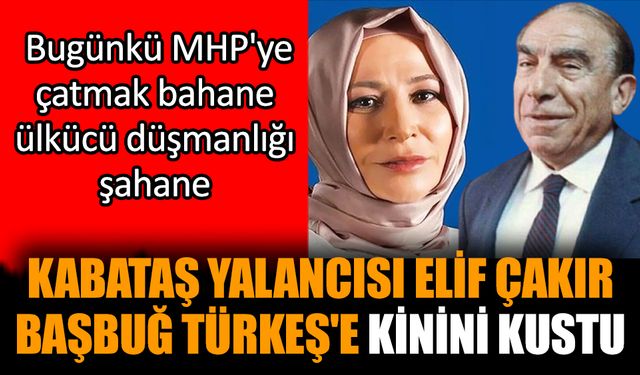Kabataş yalancısı Elif Çakır Başbuğ Türkeş'e kinini kustu
