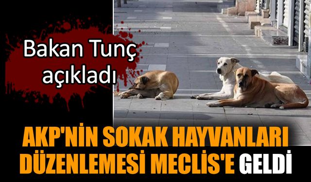 AKP'nin sokak hayvanları düzenlemesi Meclis'e geldi