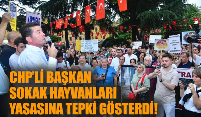 CHP’li Başkan sokak hayvanları yasasına tepki gösterdi!