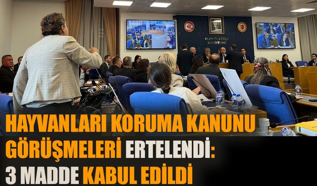 Hayvanları Koruma Kanunu görüşmeleri ertelendi: 3 madde kabul edildi