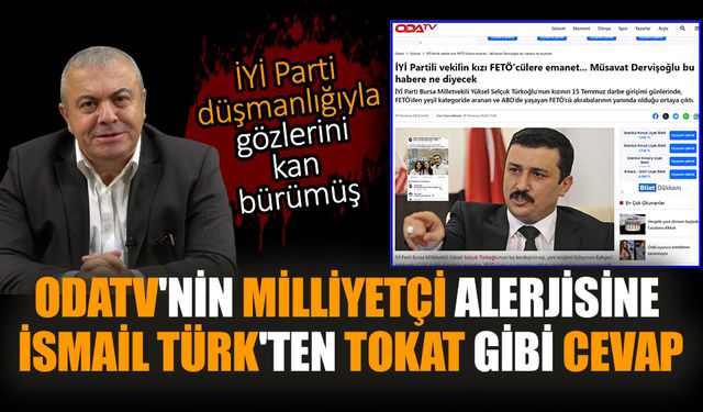 OdaTV'nin Milliyetçi alerjisine İsmail Türk'ten tokat gibi cevap! İYİ Parti düşmanlığıyla gözlerini kan bürümüş