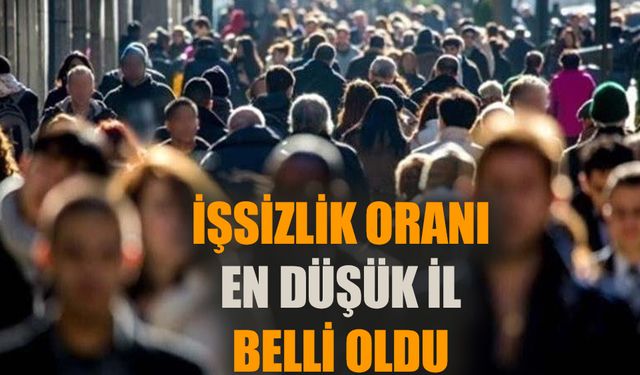 Türkiye'nin işsizlik oranı en düşük ili belli oldu