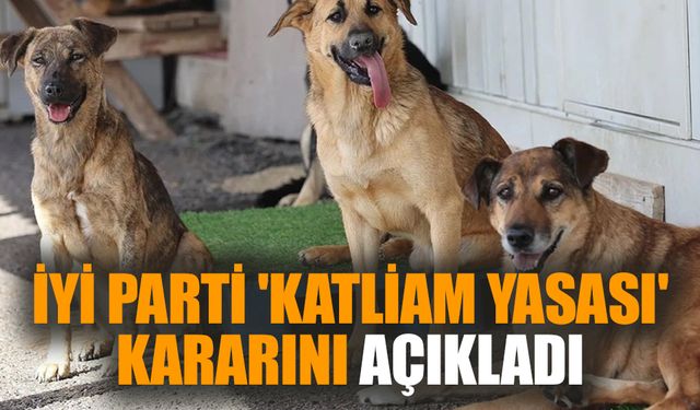 İYİ Parti 'katliam yasası' kararını açıkladı