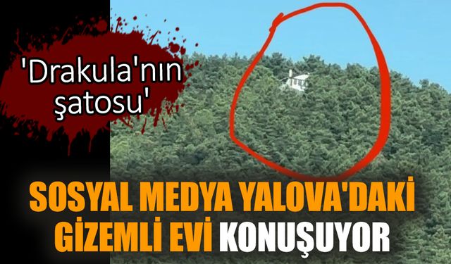 Sosyal medya Yalova'daki gizemli evi konuşuyor