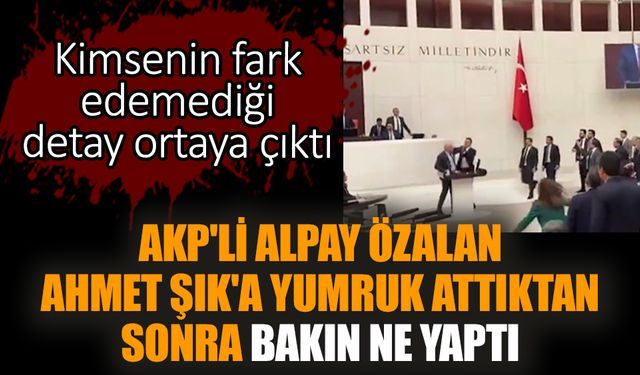 AKP'li Alpay Özalan Ahmet Şık'a yumruk attıktan sonra bakın ne yaptı