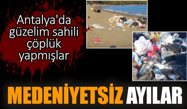 Antalya'da güzelim sahili çöplük yapmışlar