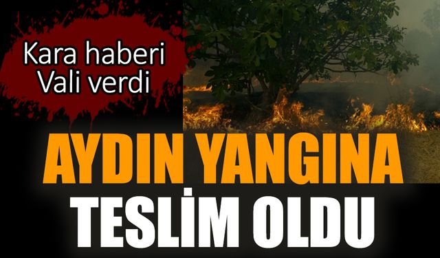 Aydın yangına teslim oldu! Kara haberi Vali verdi