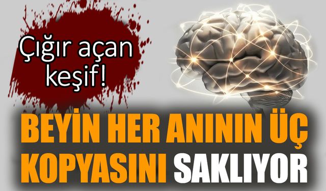 Çığır açan keşif! Beyin her anının üç kopyasını saklıyor