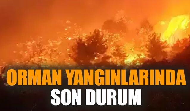 Orman yangınlarında son durum