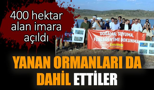 Yanan ormanları da dahil ettiler. İmara açıldı