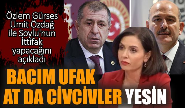 Özlem Gürses Ümit Özdağ ile Soylu'nun İttifak yapacağını açıkladı