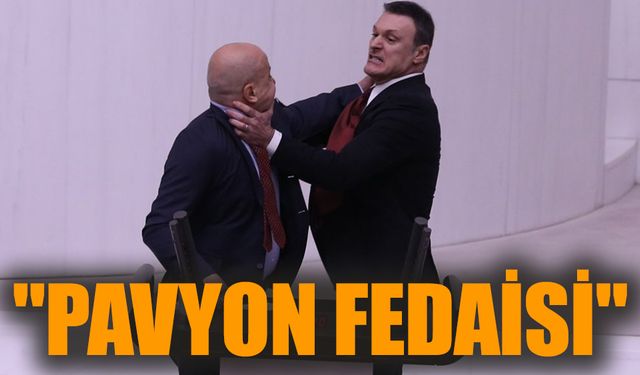 "Pavyon fedaisi"