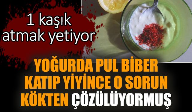 Yoğurda pul biber katıp yiyince o sorun kökten çözülüyormuş