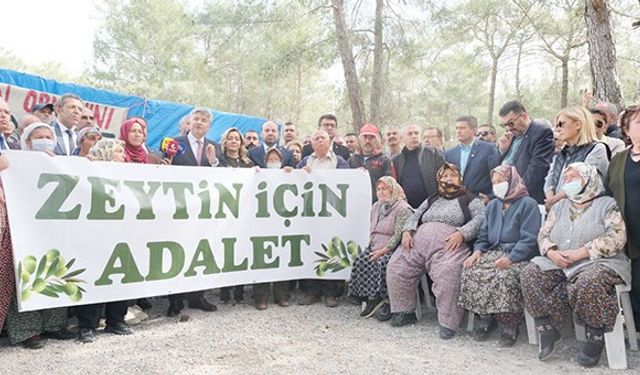 İYİ Parti'nin mücadelesi sonuç verdi: Zeytinler kazandı