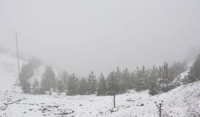 Meteoroloji'den kuvvetli kar yağışı uyarısı