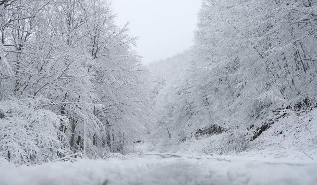 İstanbul'da sıcaklık 5 derece birden düşecek! Kar geliyor