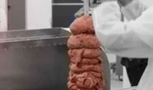 Skandallar bitmiyor: Ünlü döner firmasının etinden bakın ne çıktı?