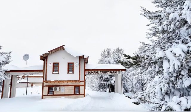 Kışın Büyüsü: Dumanlı Tabiat Parkı'ndaki Kar Manzaraları