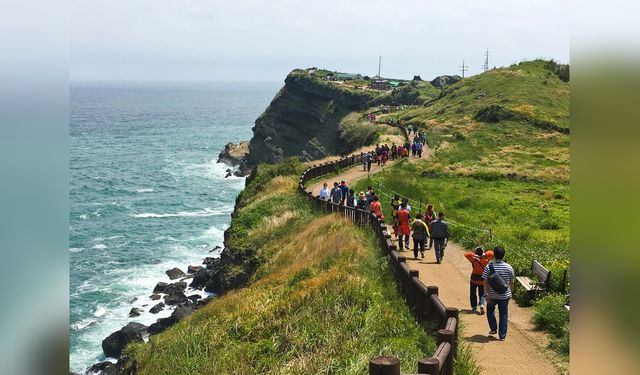 Jeju Adası'nda Kaybolan Vietnamlı Turistlerin Arayışı Başladı