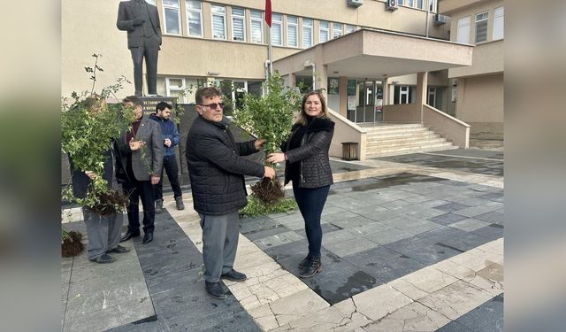 Samsun'da Tarımsal Dönüşüm: Yeşil Bahçelere Geçiş Projesi