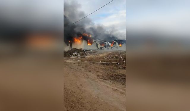 Konteyner Yangını Elazığ'da Üç İşçiyi Yaraladı