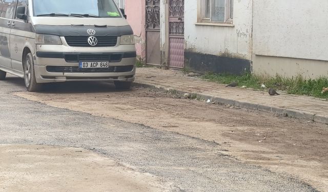 Kardeş Kavgası Kanlı Bitti