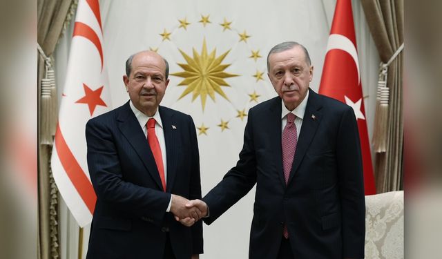 Erdoğan ve Tatar'dan Önemli Görüşme