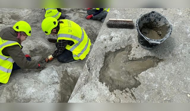 İngiltere'de Tarihi Dinozor Ayak İzleri Bulundu